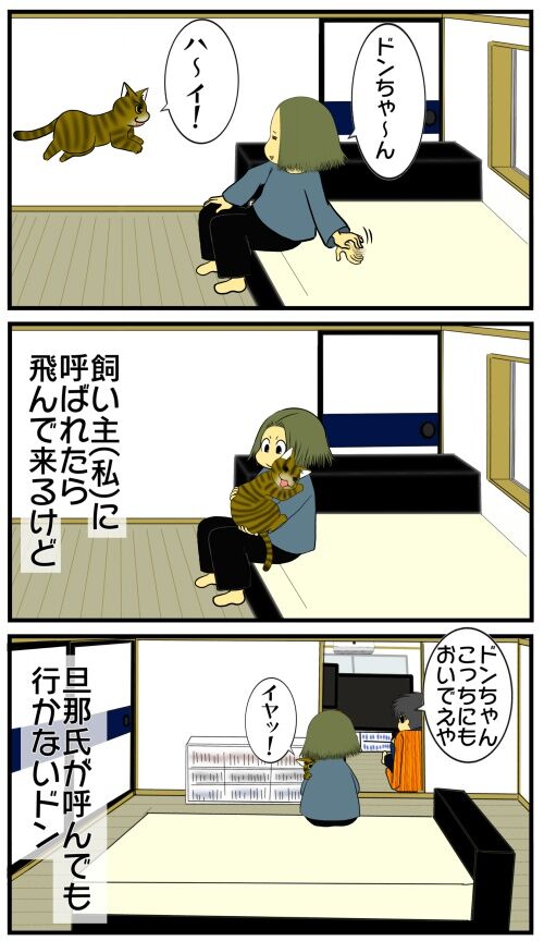 20250418 j22f19g50n48