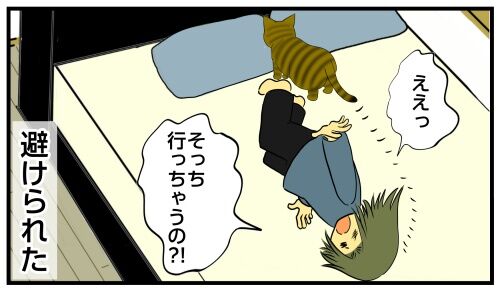 20250418 j22f19g50o40b