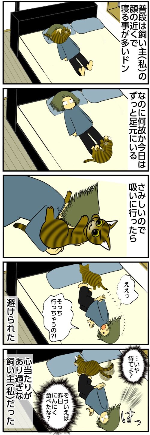 20250418 j22f19g50o40a