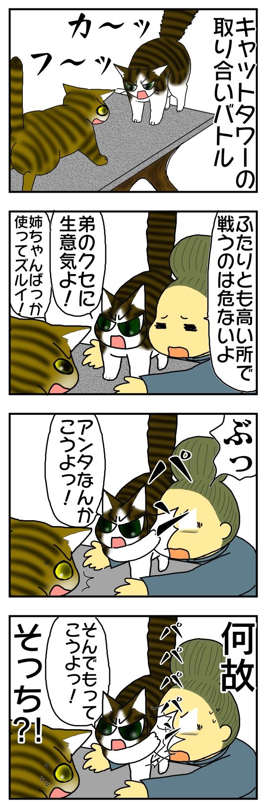 きょうだいげんか 振り上げた拳の行方 姉vs弟 メンコスケダモノ 猫3匹とゲーマーのもふもふ生活漫画絵日記 Powered By ライブドアブログ きょうだいげんか 振り上げた拳の行方 姉vs弟 メンコスケダモノ 猫3匹とゲーマーのもふもふ生活漫画絵日記 Powered By ライブドアブログ