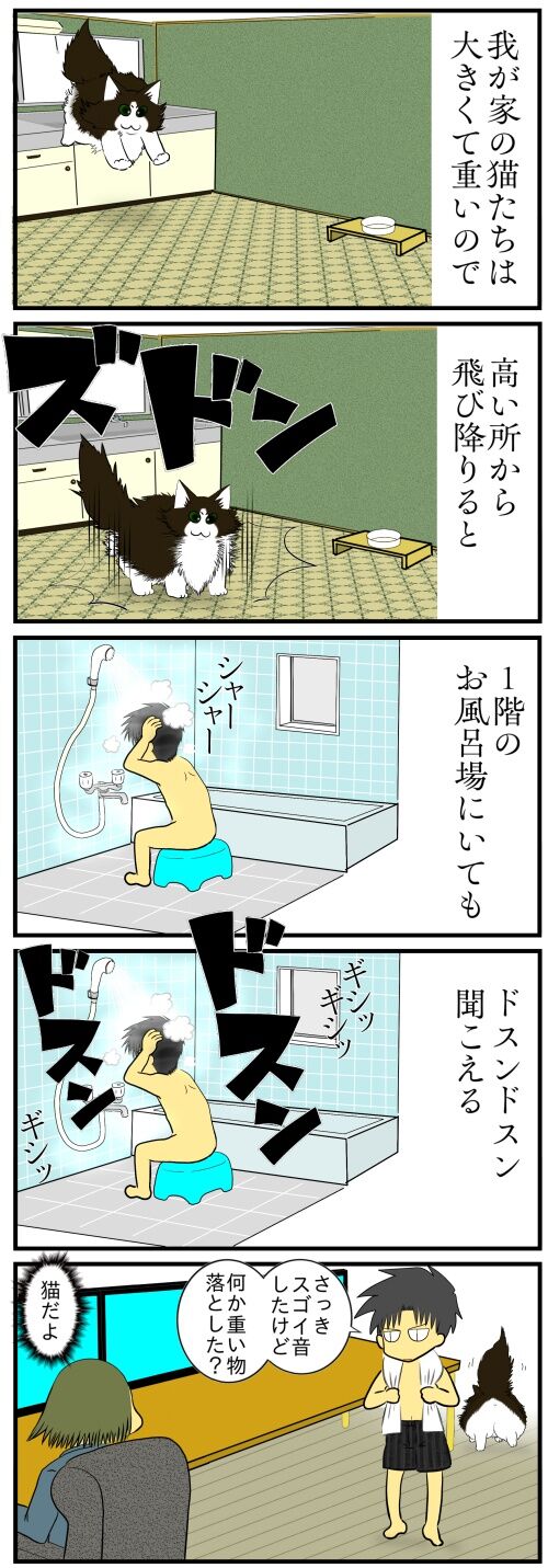 20260306b10s48b