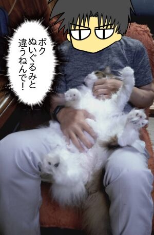 ボクぬいぐるみとちゃうねんで