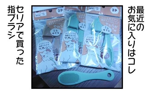 20250418 j22f19g50o28b