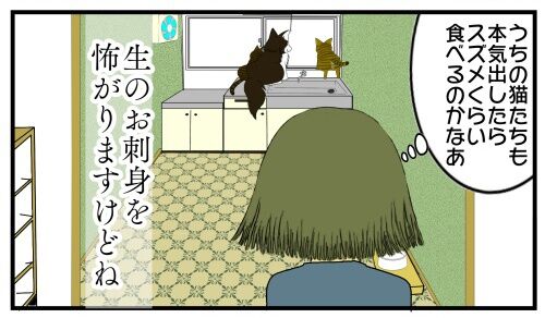 20250418 j22f19g50o19d