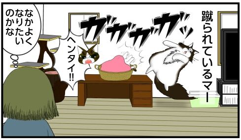 20250418 j22f19g50o41b