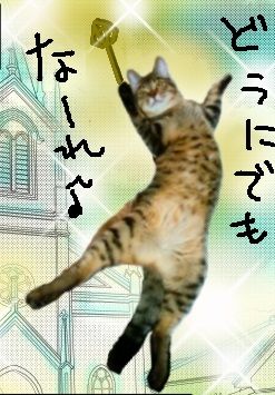 どうにでもなーれ