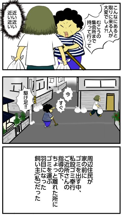 20250418 j22f19g50o44c