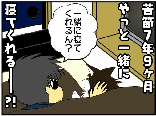 30y33-10c54o21ｘ15v159