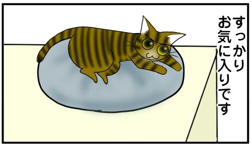 20250418 j22f19g50o63c