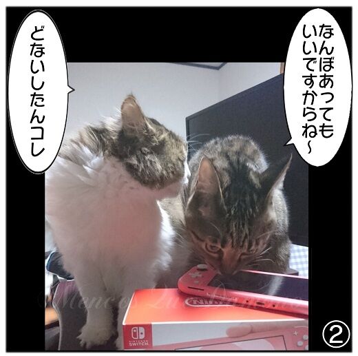 スイッチ2