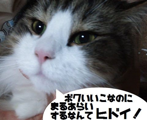 ふろ5