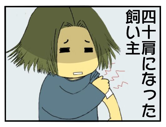 30y33-10c54o21x15o18b