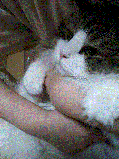 ふろ4