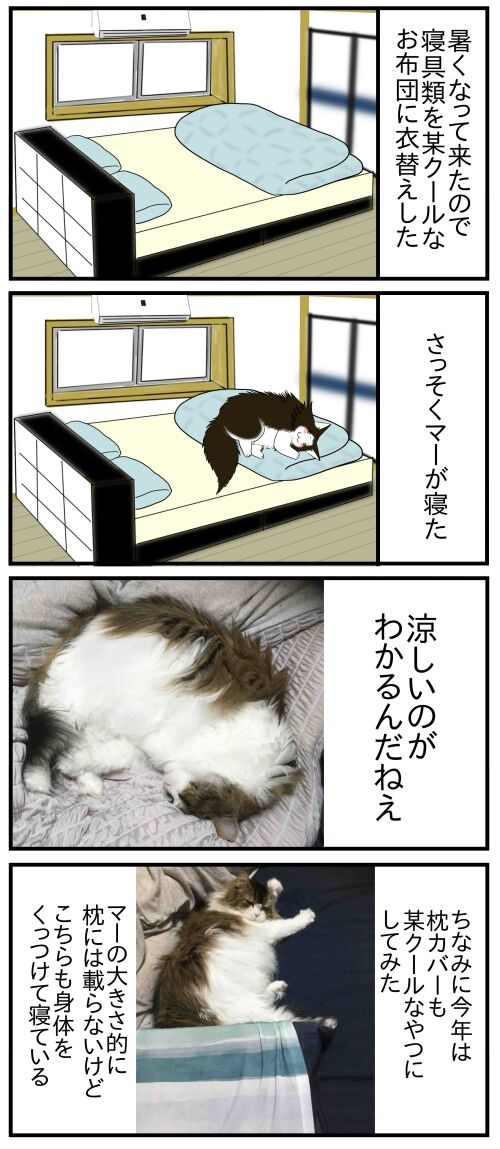 20260306b10s73b