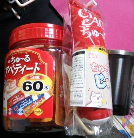 今年もクリスマスちゅ~る (3)