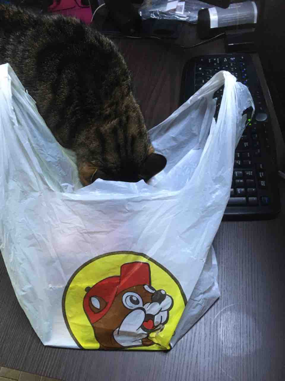 タイとテキサスのApple Storeが11月にグランドオープン予定