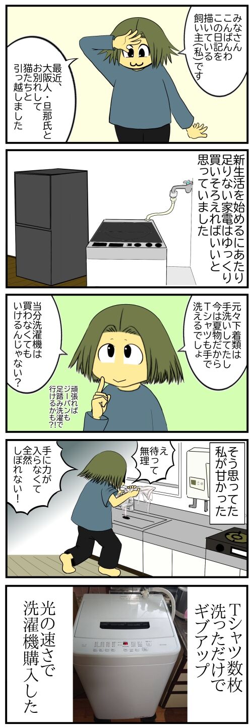 20260306b10s87b