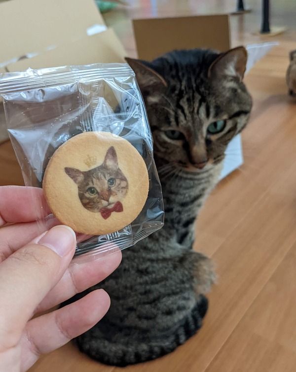 PXL_20220311_064238184