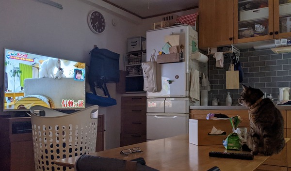 PXL_20220205_103354911