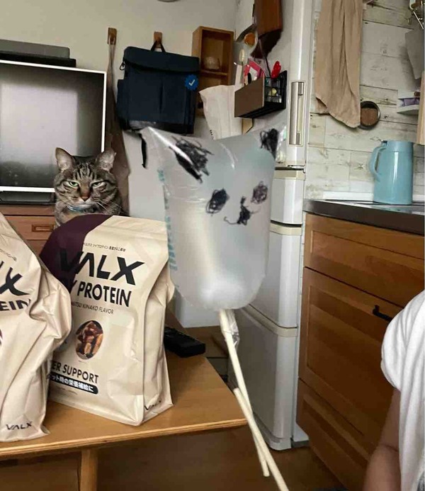FullSizeRender