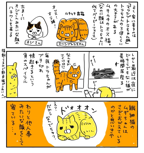 com00021_1_2