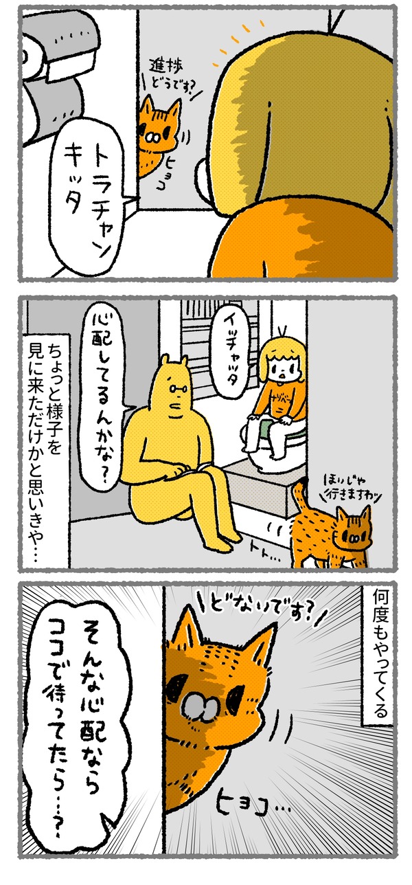 552_03