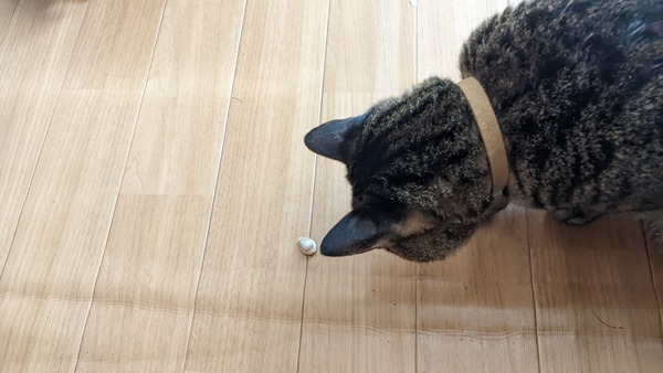 PXL_20220222_040553298