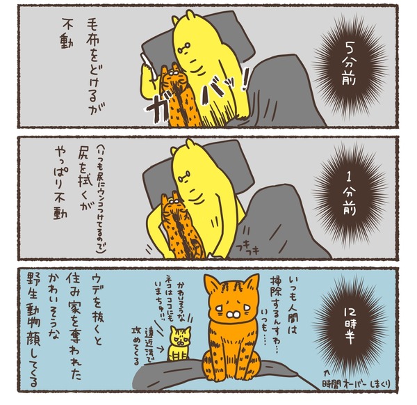 com00097_3