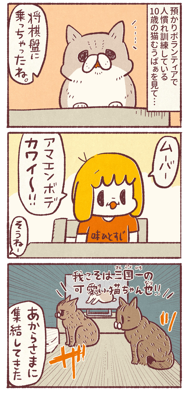 1036_03