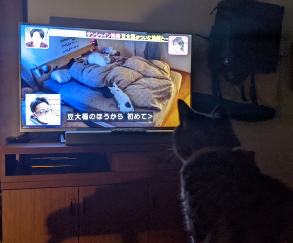 PXL_20220305_101929803