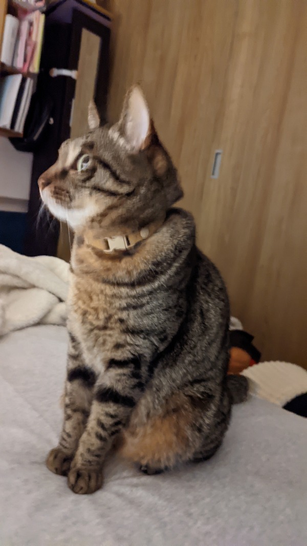 PXL_20220319_175509773