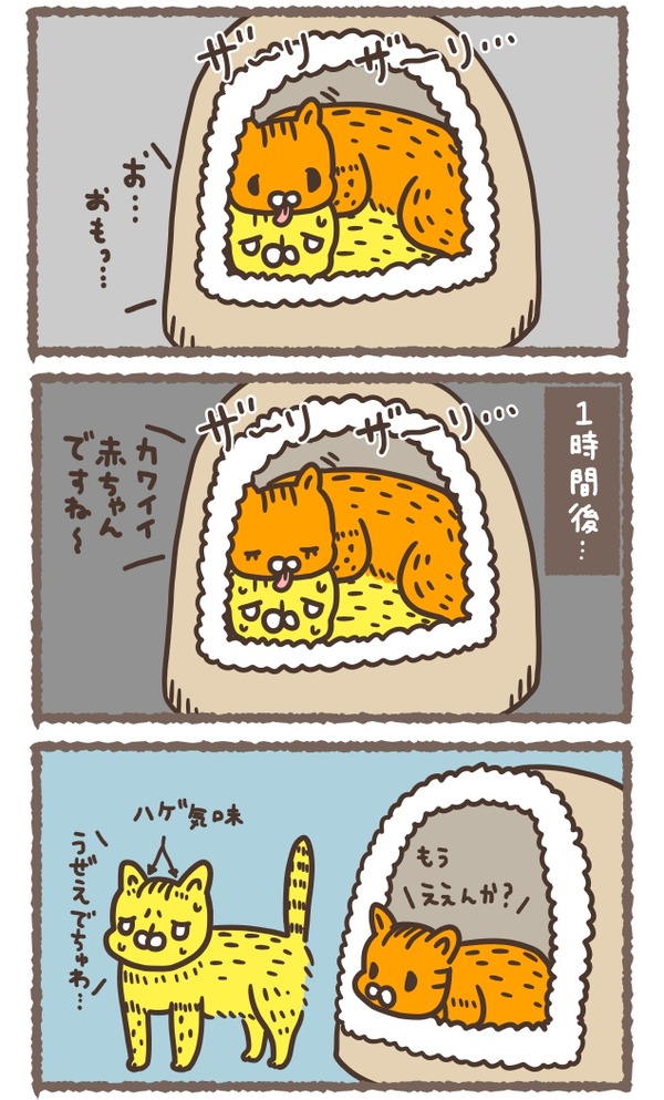 com000151_3