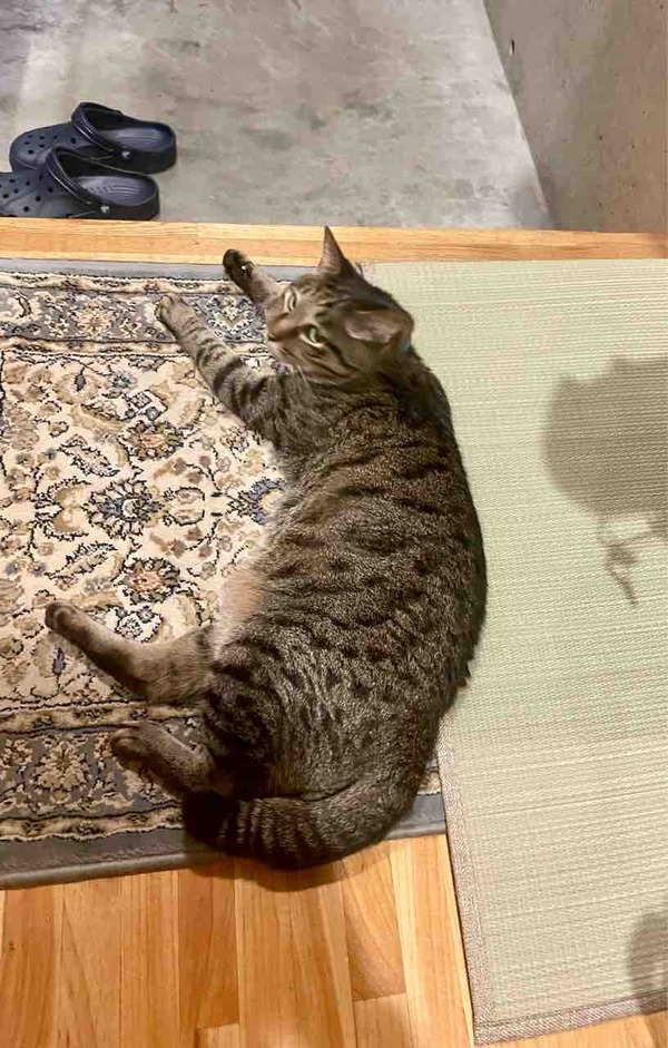 FullSizeRender