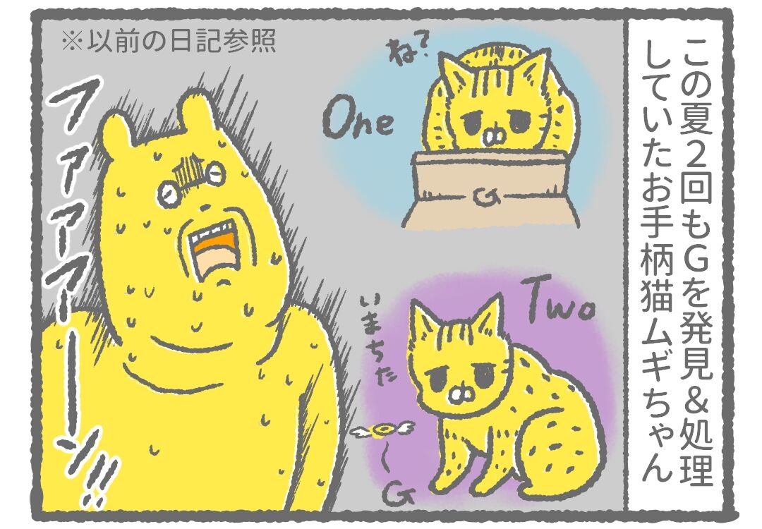 私の心拍数を上げる猫の行動 きもちわるいはなしz 私の心拍数を上げる猫の行動 きもちわるいはなしz