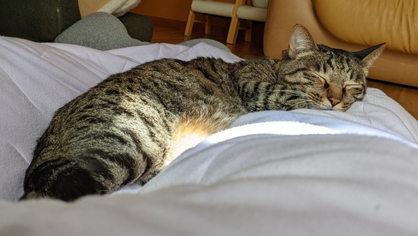 PXL_20220315_024919232