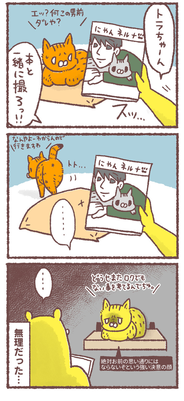 354_03