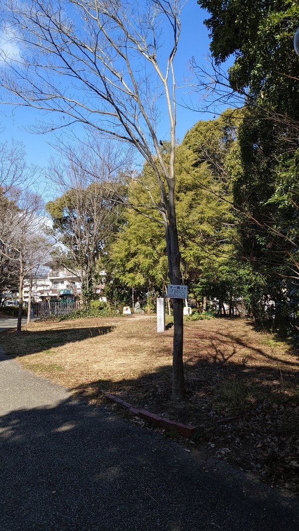PXL_20220120_030809827