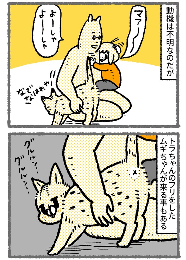 842_03
