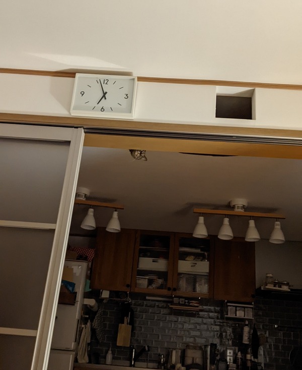 PXL_20211227_095636191