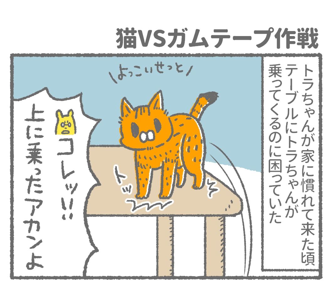 猫vsガムテープ作戦 きもちわるいはなしz 猫vsガムテープ作戦 きもちわるいはなしz