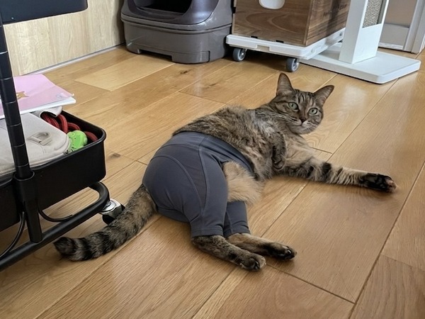 FullSizeRender