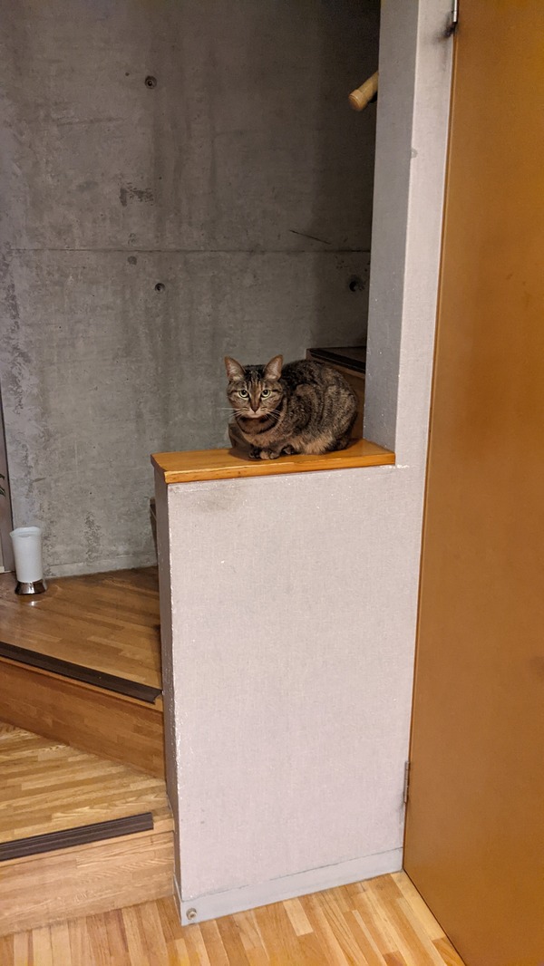 PXL_20210512_110300761