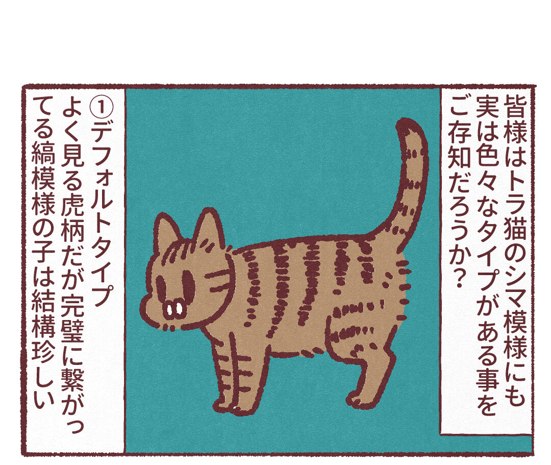 奥深い猫のしま模様の世界 : 藻本とサムシングのはなし。