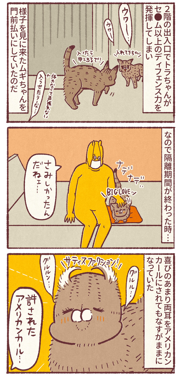 1137_03