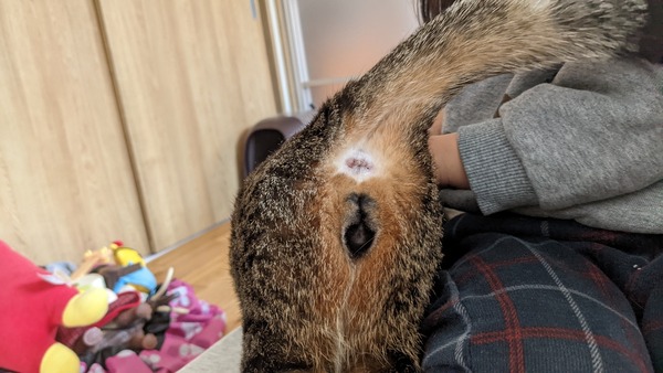 PXL_20220305_013134549