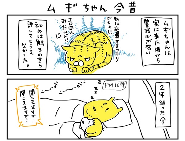 com00022_1_1