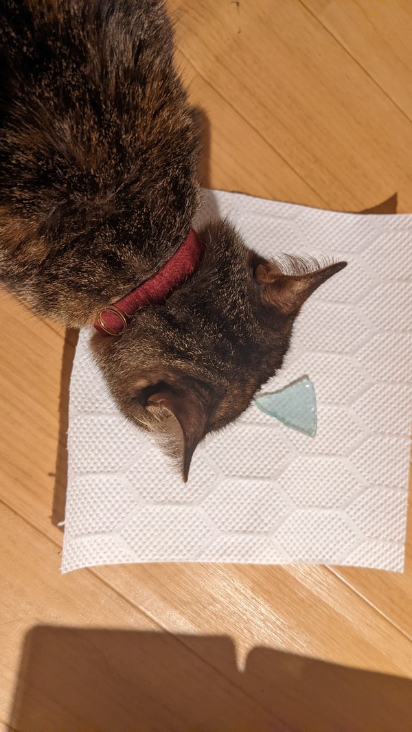 PXL_20220304_160852350