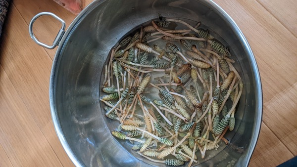 PXL_20220314_035448917