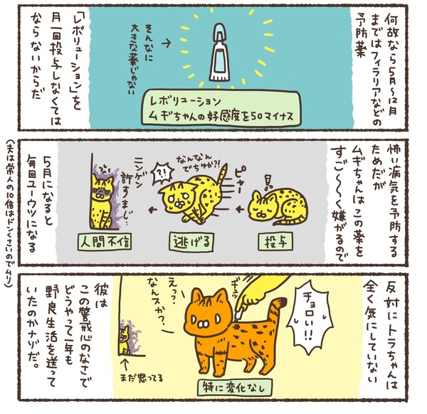com00091_3