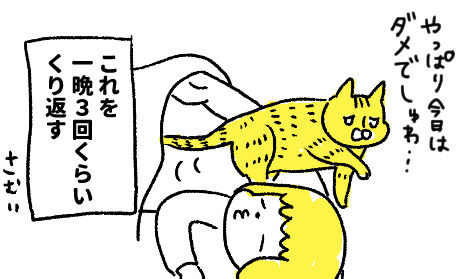 com00013_5